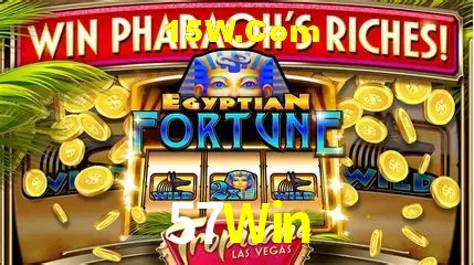 Sistemas de Segurança 57Win